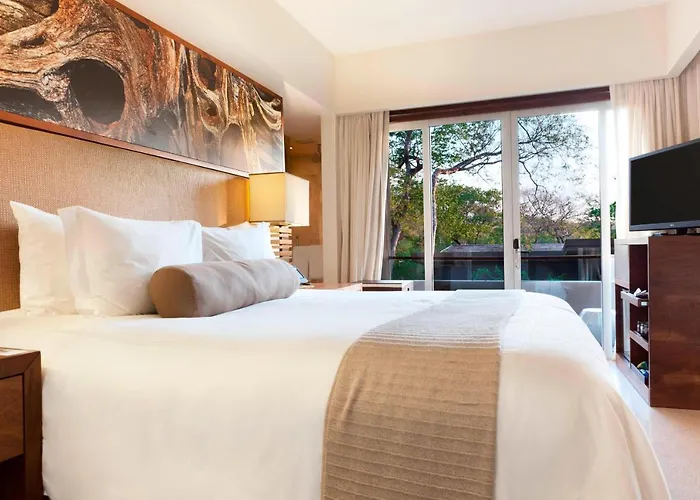 El Mangroove Papagayo, Autograph Collection Resort