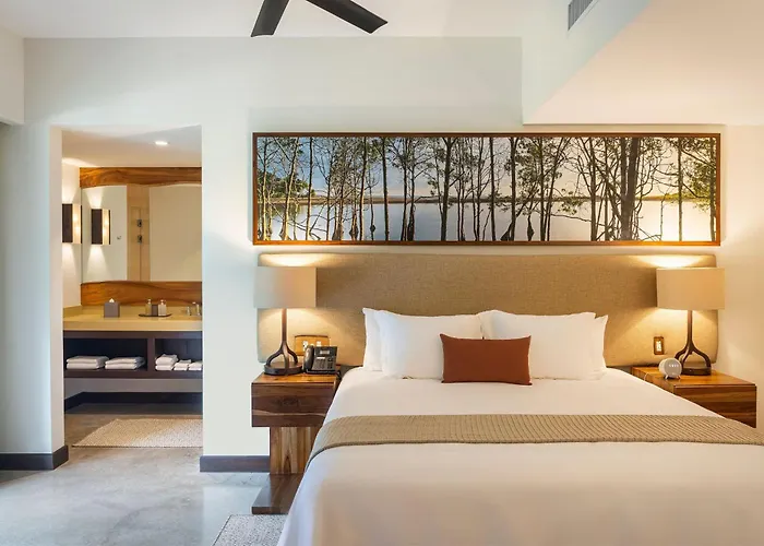 El Mangroove Papagayo, Autograph Collection Resort