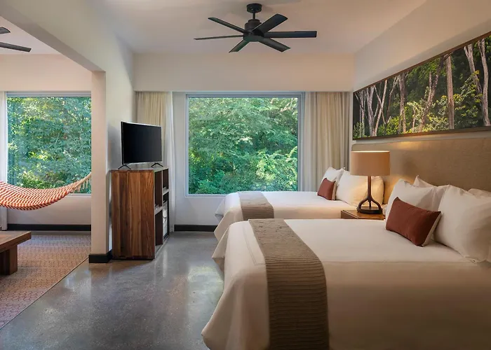 El Mangroove Papagayo, Autograph Collection 5*