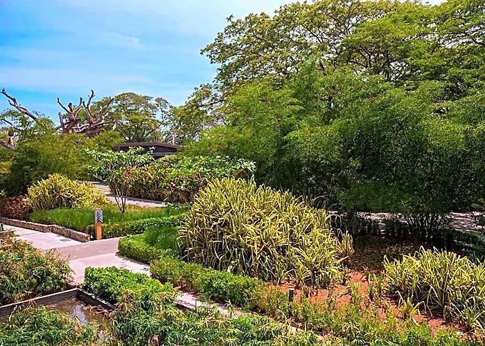 El Mangroove Papagayo, Autograph Collection Resort Playa Hermosa (Guanacaste)